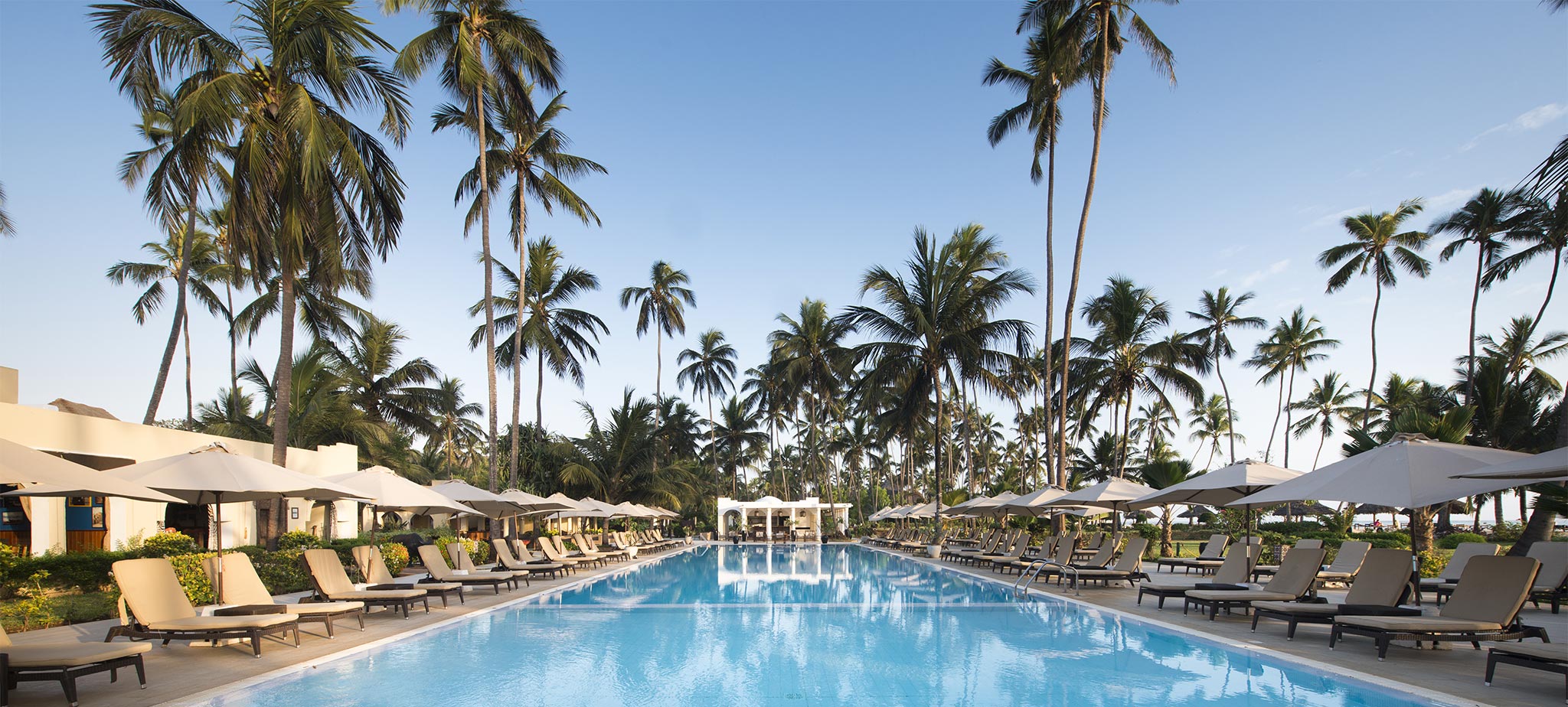 Dream of Zanzibar 